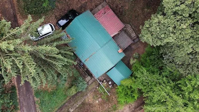 Umm Za Exit Petrovaradin